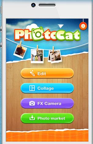 potocat|photocat online.